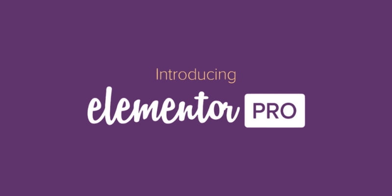 Elementor Pro WordPress Plugin